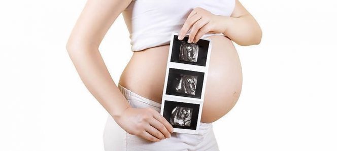 Las tres ecografías del embarazo