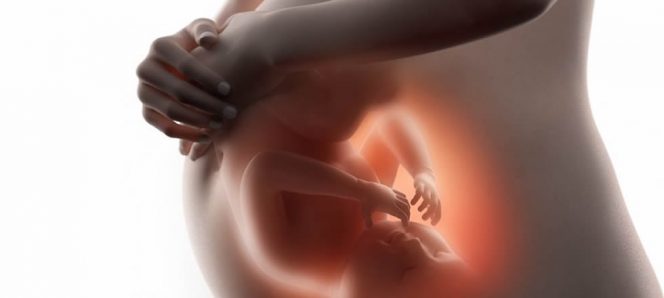posición del bebé en el embarazo